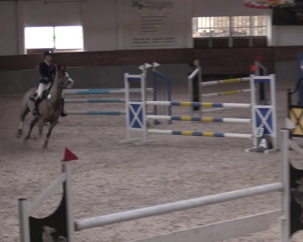 Reitturnier Ströbeck 2022