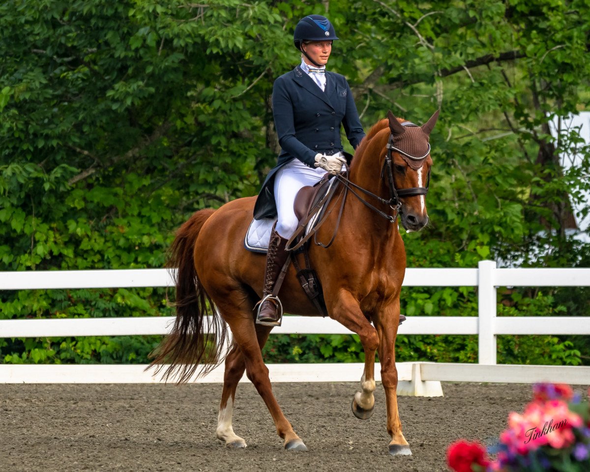 Dressurpferd Cloud Dancer Casimo He We (Deutsches Reitpony, 2010, von Constantin)