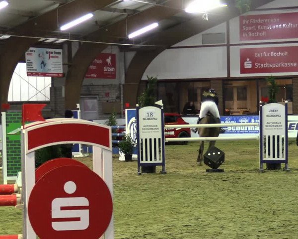 Hallenspringturnier Barlo-Bocholt 2022
