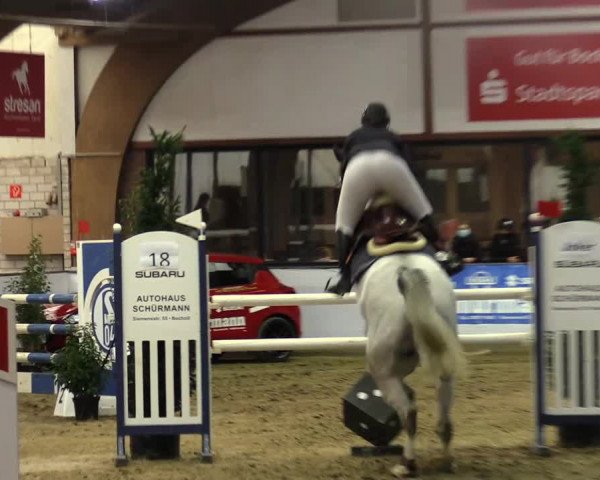 Hallenspringturnier Barlo-Bocholt 2022