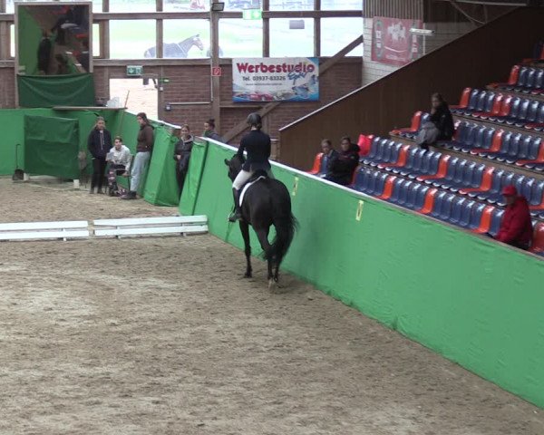 Krumke Hallenturnier mit KM 2021