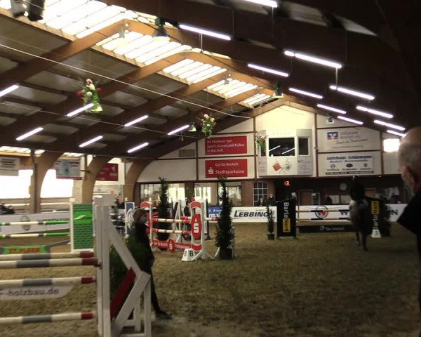 Hallenspringturnier Barlo-Bocholt 2022
