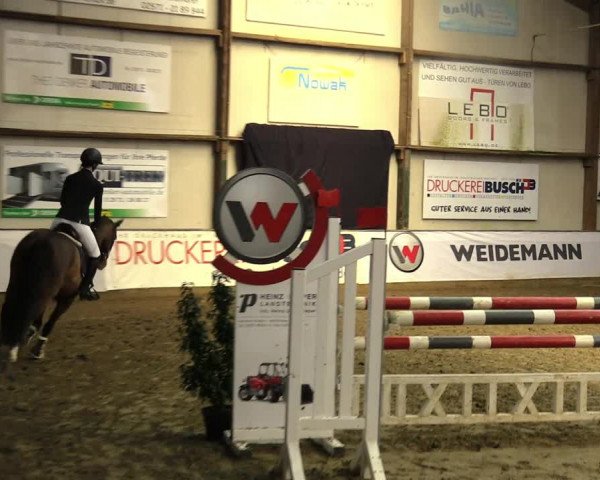 Hallenspringturnier Barlo-Bocholt 2022