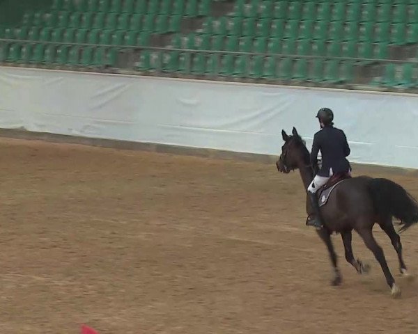 Reitturnier Kreuth/Opf. 2022