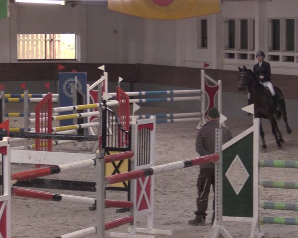 Reitturnier Ströbeck 2022