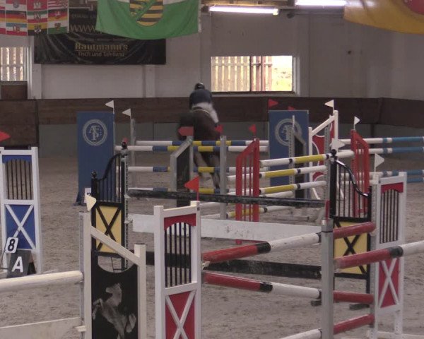 Reitturnier Ströbeck 2022