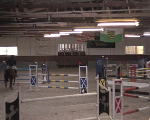 Reitturnier Ströbeck 2022