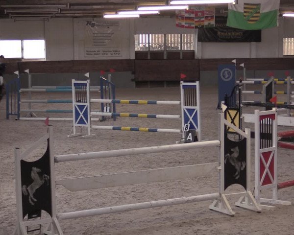 Reitturnier Ströbeck 2022