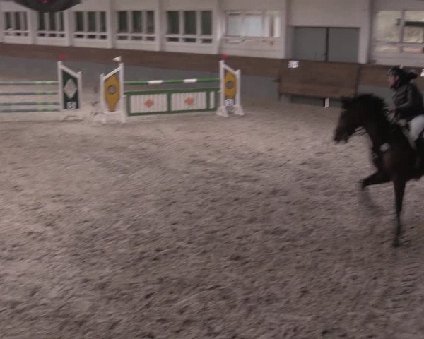 Reitturnier Ströbeck 2022