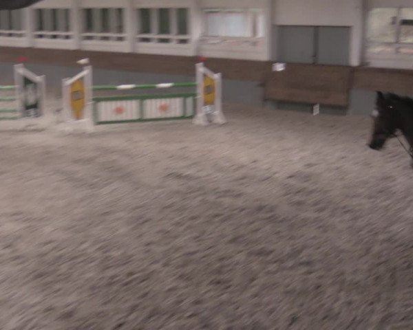 Reitturnier Ströbeck 2022