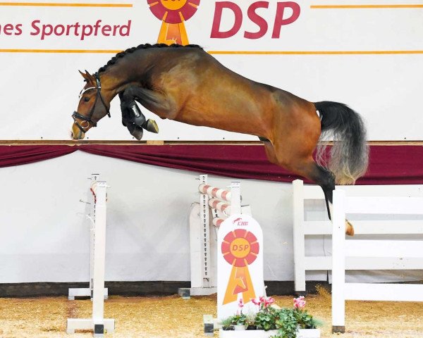 Deckhengst Billion Dollar (Westfale, 2019, von Million Dollar)