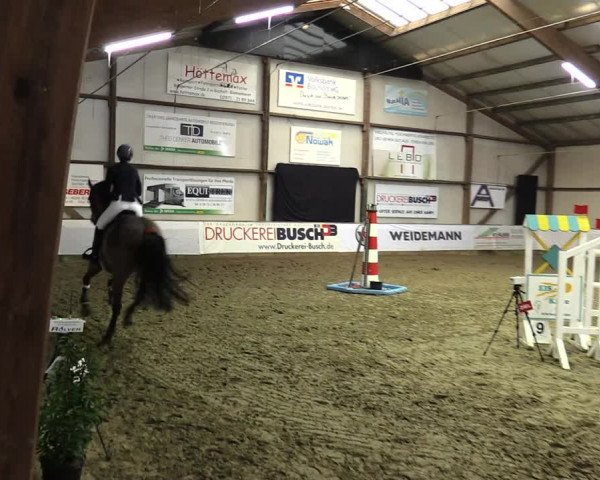 Hallenspringturnier Barlo-Bocholt 2022