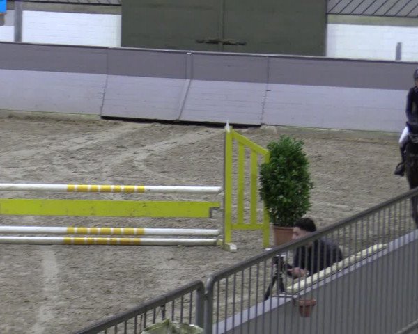 Late Entry Springturnier Luhmühlen 2022