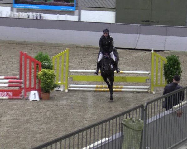 Late Entry Springturnier Luhmühlen 2022