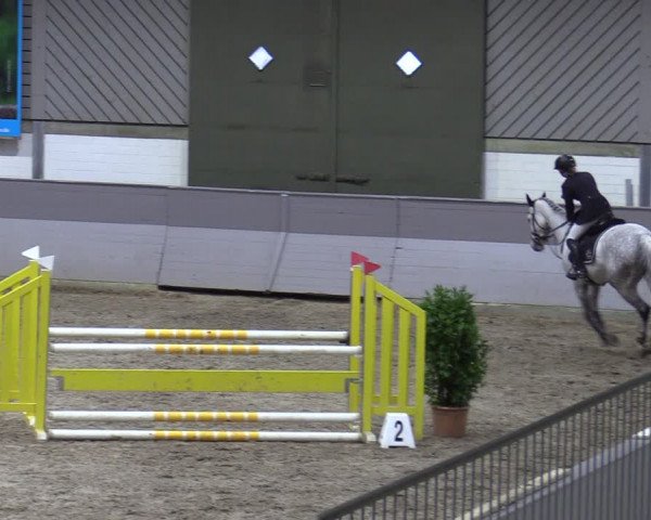 Late Entry Springturnier Luhmühlen 2022