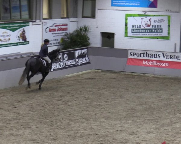 Late Entry Springturnier Luhmühlen 2022