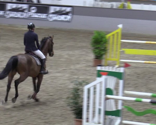 Late Entry Springturnier Luhmühlen 2022