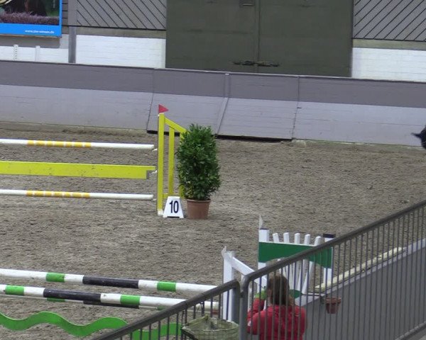 Late Entry Springturnier Luhmühlen 2022