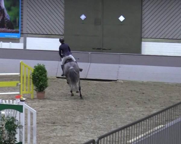 Late Entry Springturnier Luhmühlen 2022