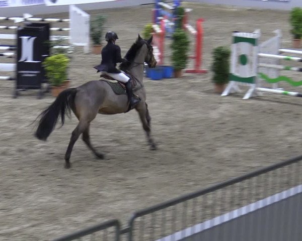 Late Entry Springturnier Luhmühlen 2022