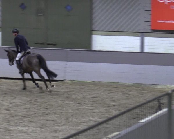 Late Entry Springturnier Luhmühlen 2022