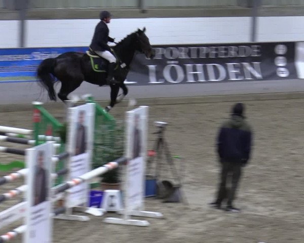Late Entry Springturnier Luhmühlen 2022