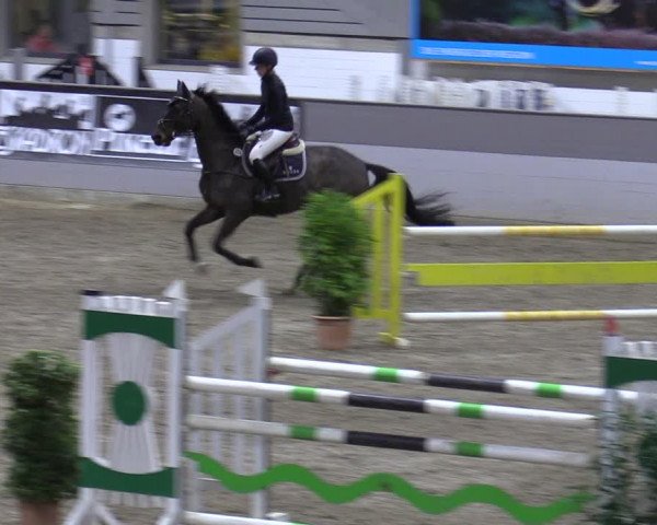 Late Entry Springturnier Luhmühlen 2022