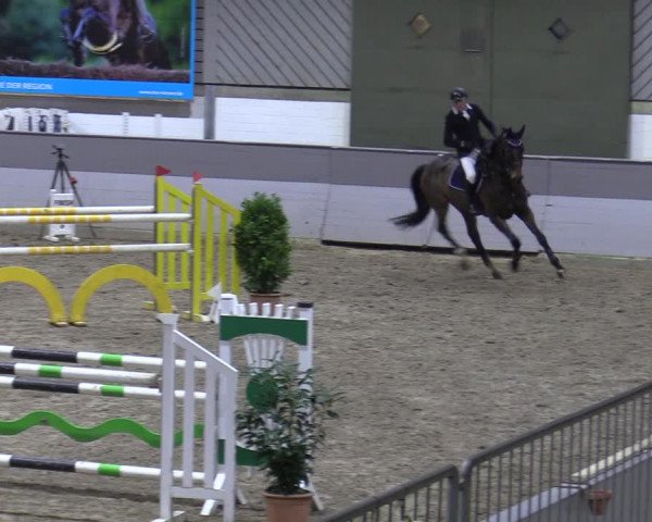 Late Entry Springturnier Luhmühlen 2022