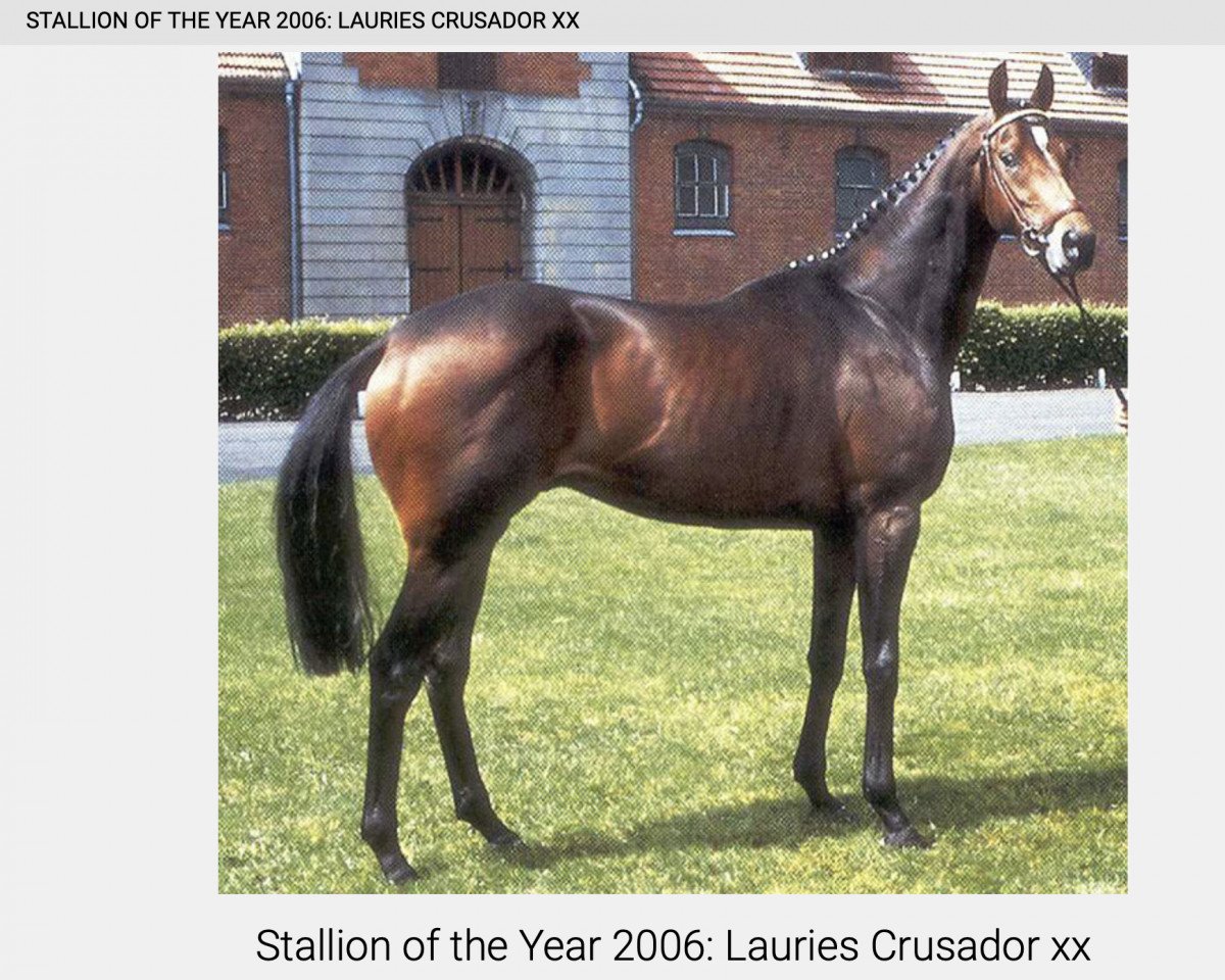 Deckhengst Lauries Crusador xx (Englisches Vollblut, 1985, von Welsh Pageant xx)