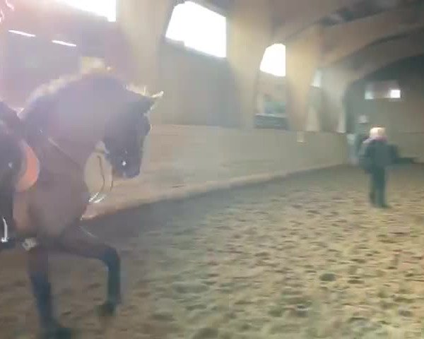 Video of Cool and Easy