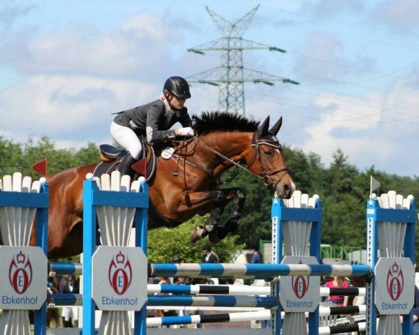 broodmare Nabby Sue (Oldenburg, 2006, from Sion)