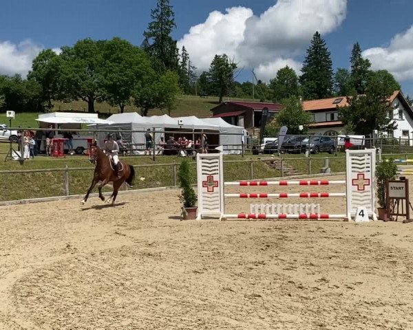 Reitturnier La Chaux-de-Fonds, Cerisier 2021