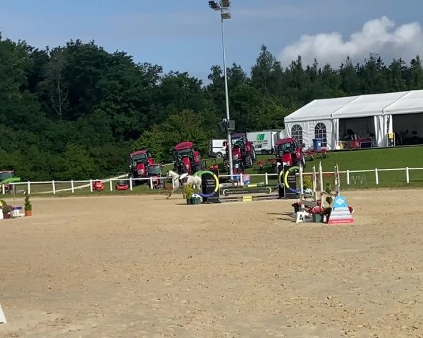 Reitturnier Le Chalet-à-Gobet 2021