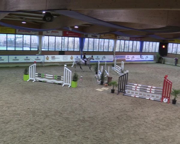 20. Hallen-Springturnier Heiden 2022