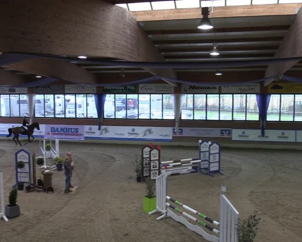 20. Hallen-Springturnier Heiden 2022