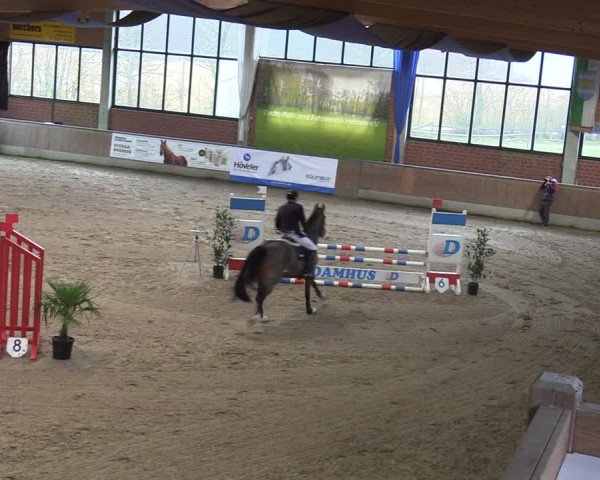 20. Hallen-Springturnier Heiden 2022