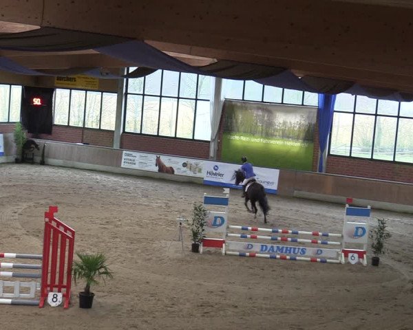 20. Hallen-Springturnier Heiden 2022