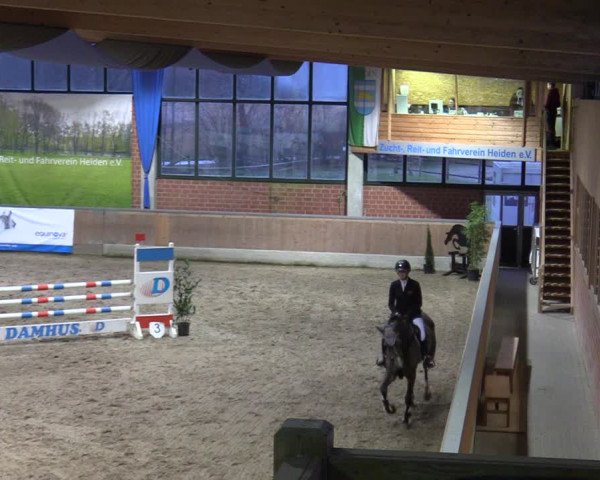 20. Hallen-Springturnier Heiden 2022