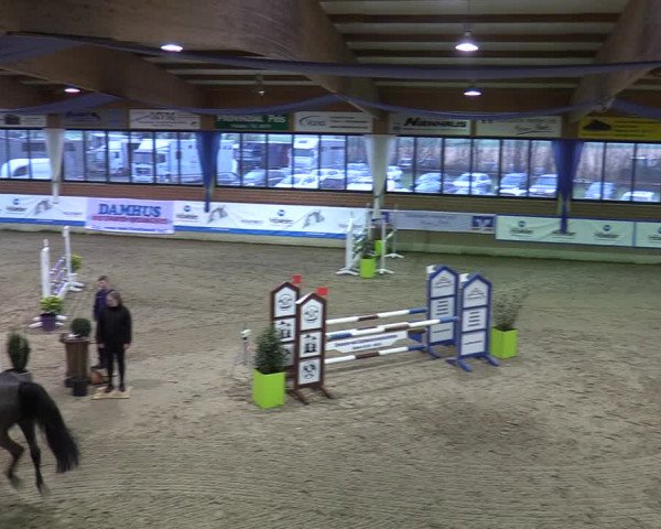 20. Hallen-Springturnier Heiden 2022