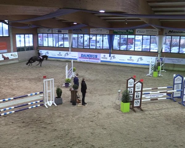 20. Hallen-Springturnier Heiden 2022