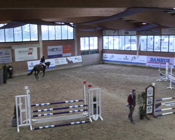 20. Hallen-Springturnier Heiden 2022