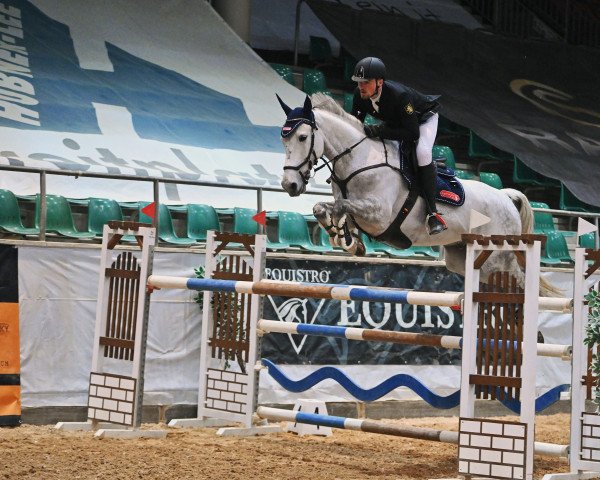 Springpferd Haarlem-V (KWPN (Niederländisches Warmblut), 2012, von VDL Cardento 933)