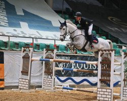 jumper Haarlem-V (KWPN (Royal Dutch Sporthorse), 2012, from VDL Cardento 933)