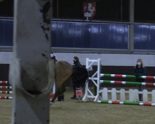 Reitturnier Olfen-Vinnum 2022