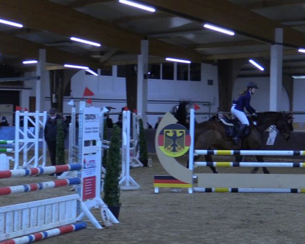 Reitturnier Olfen-Vinnum 2022