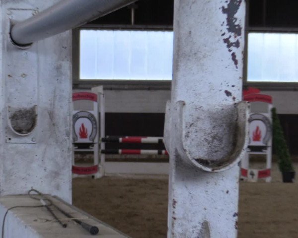 Reitturnier Olfen-Vinnum 2022