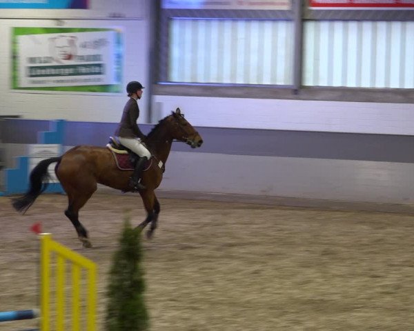 Late Entry Springturnier Luhmühlen 2022