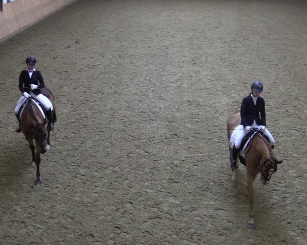 Reitturnier Olfen-Vinnum 2022