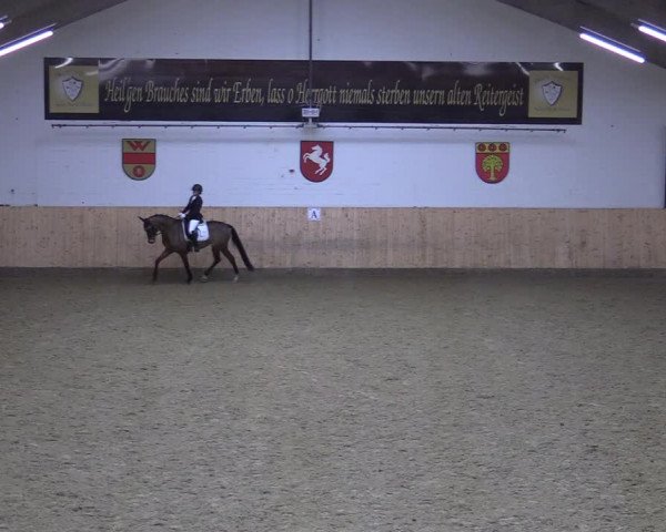 Reitturnier Olfen-Vinnum 2022