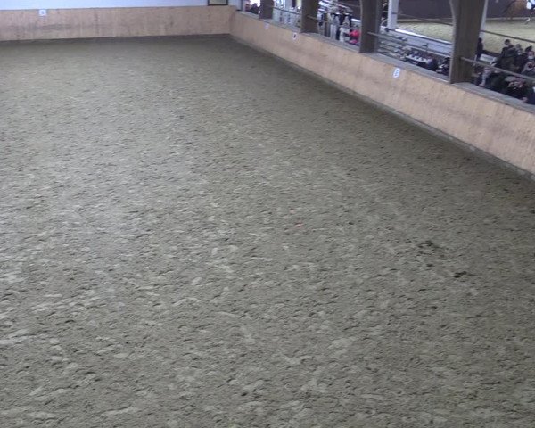 Reitturnier Olfen-Vinnum 2022